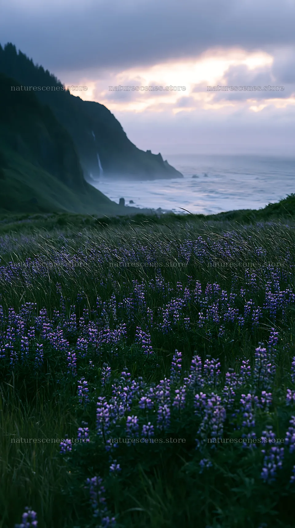 Flower meadow overlooking distant cascade and ocean – nature scenes 5938x10608