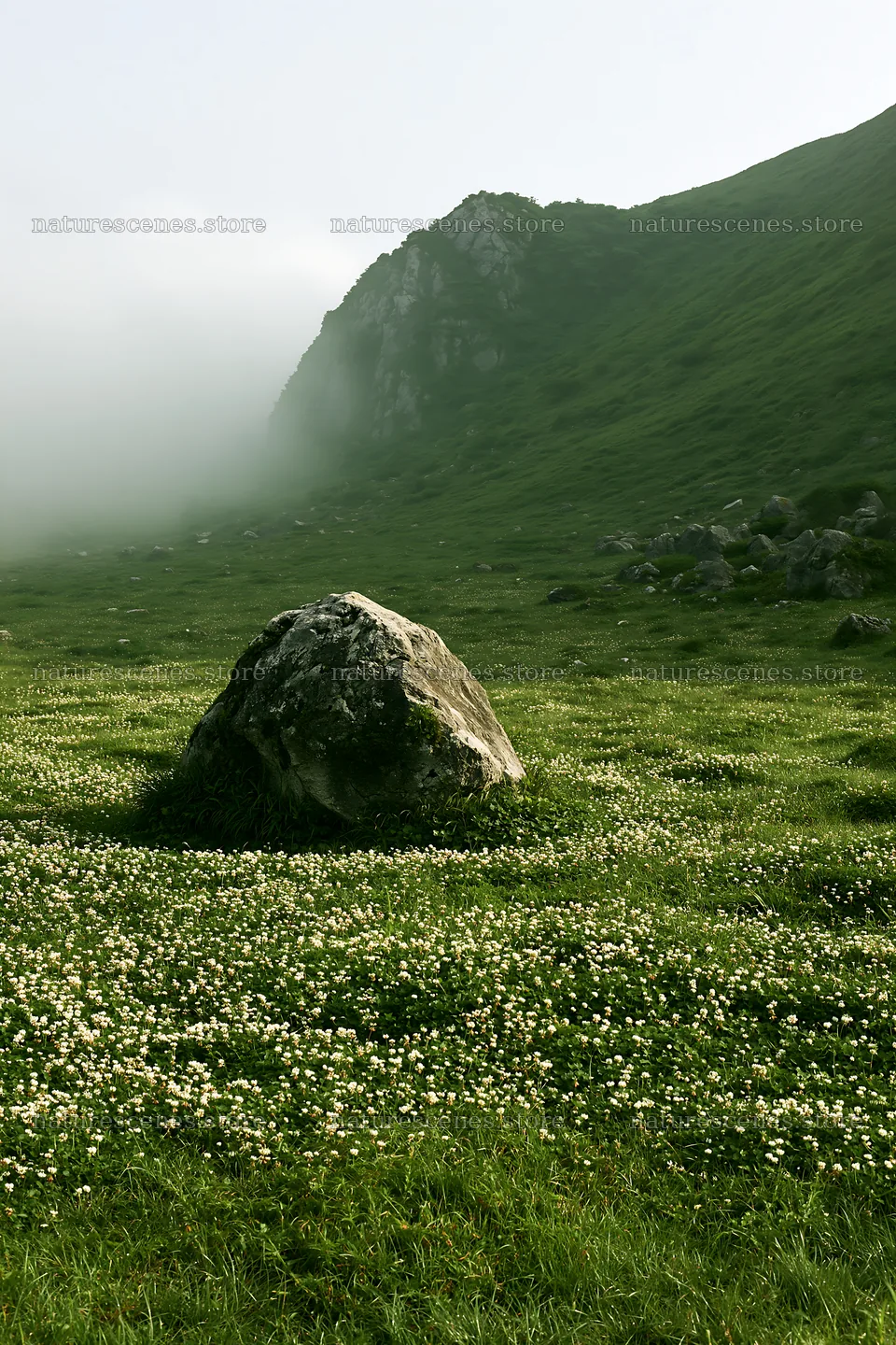 Yamaguchi limestone meadow with pale boulder under misty hills – nature scenes 6480x9722