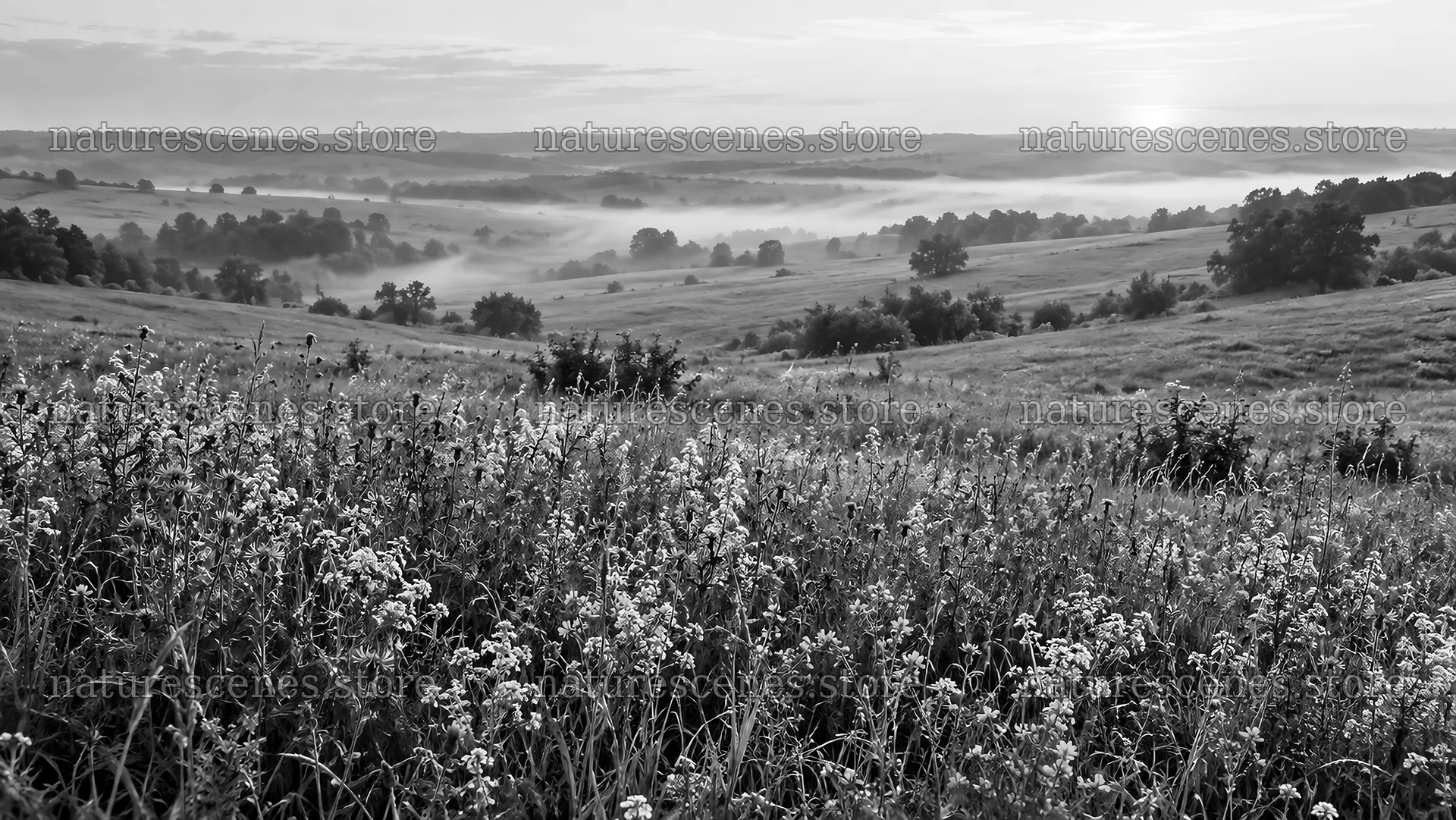 Flower Meadow and Misty Hills at Sunrise – nature scenes 10324x5812