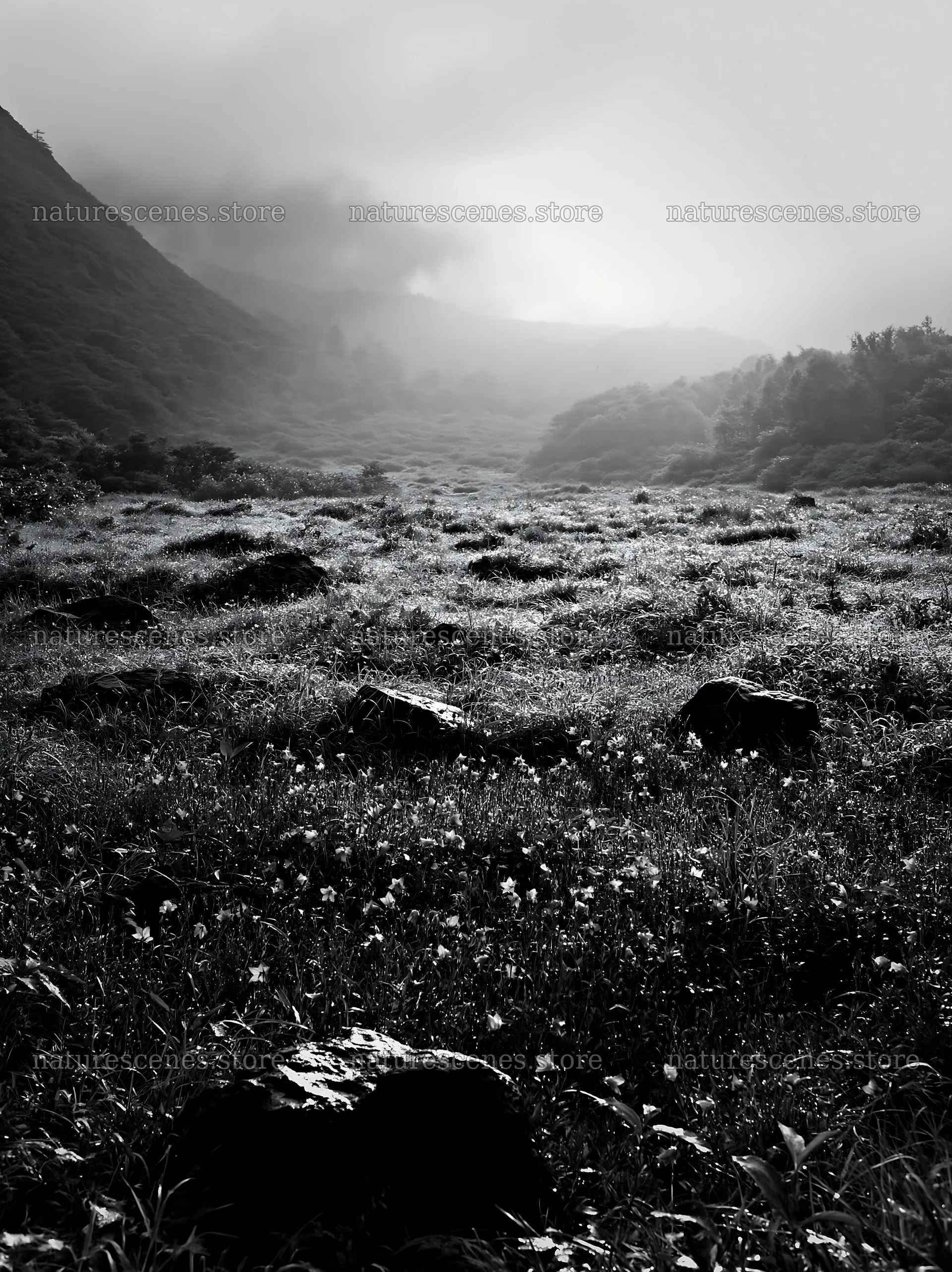 Kanagawa heat resilient meadow volcanic stones in green field – nature scenes 6866x9174