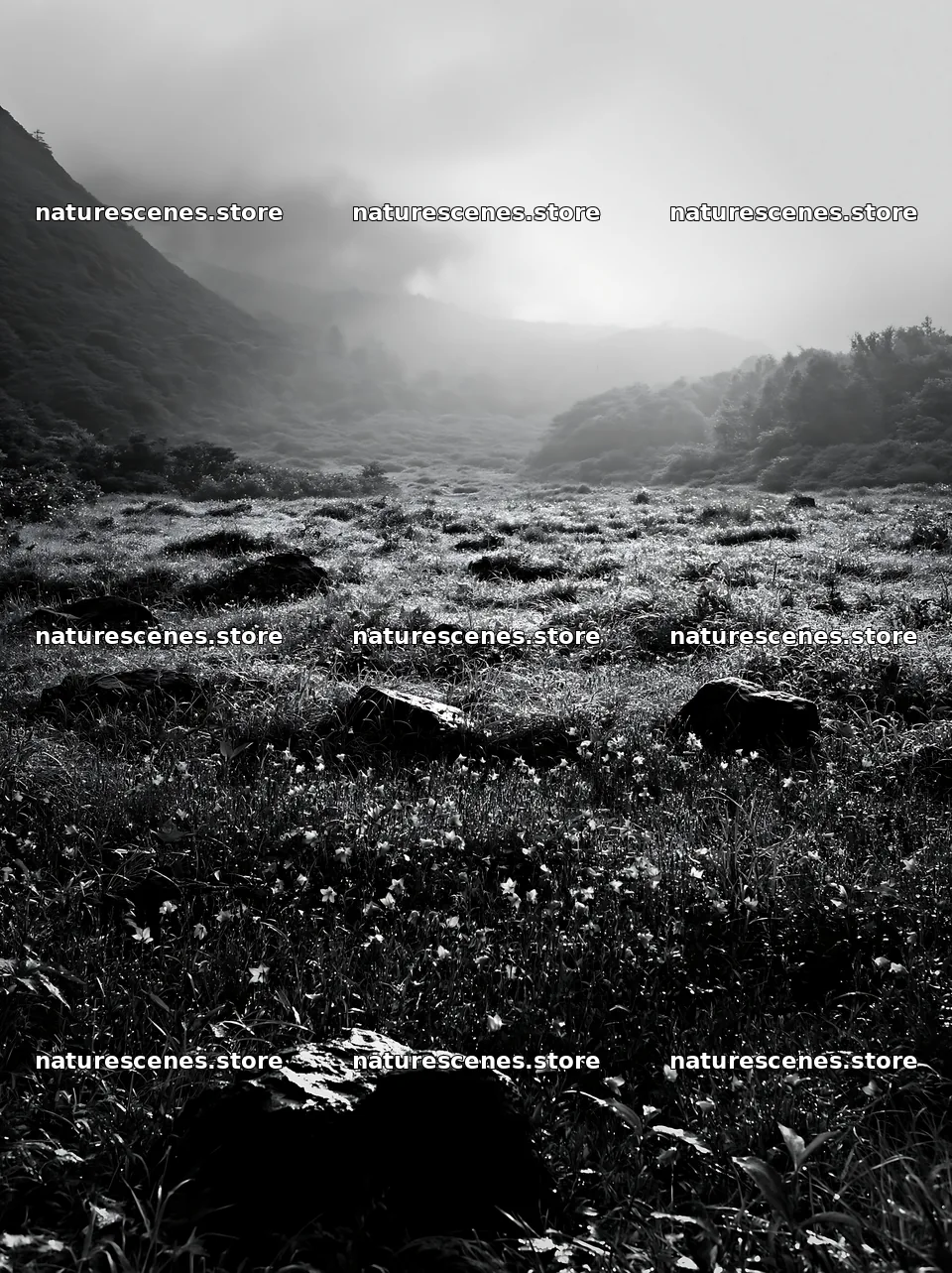 Kanagawa heat resilient meadow volcanic stones in green field – nature scenes 6866x9174