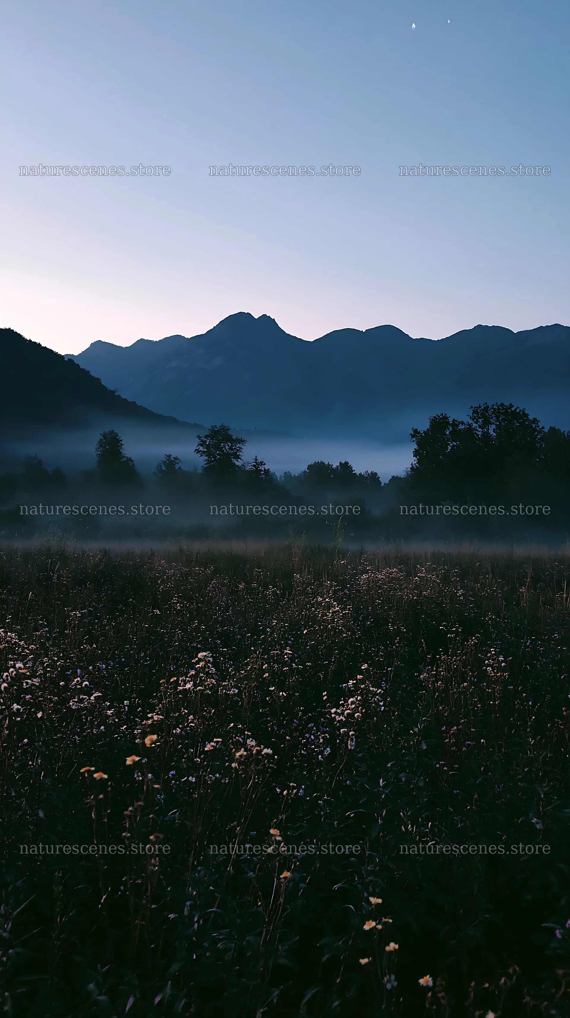 Climate-resilient meadow with distant mountains and morning mist – nature scenes 5938x10608