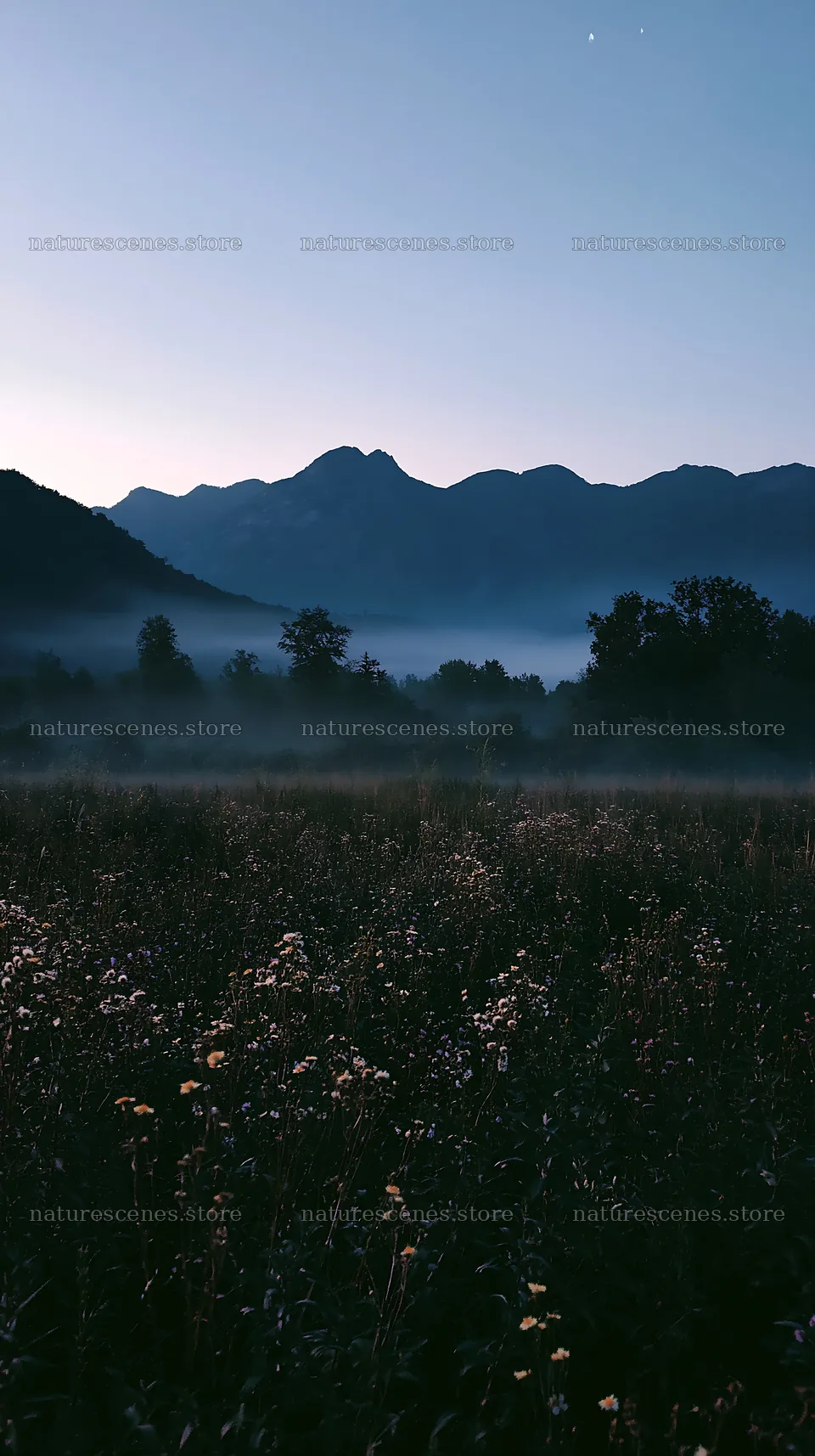 Climate-resilient meadow with distant mountains and morning mist – nature scenes 5938x10608