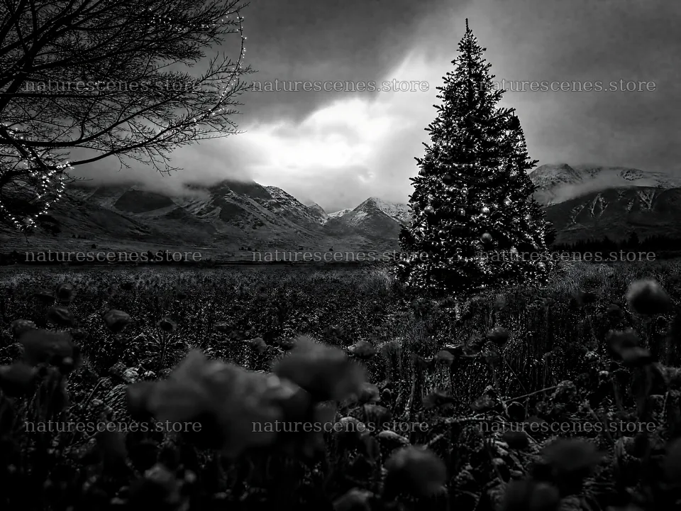 Vibrant Christmas tree in a winter meadow with mountains – nature scenes 9166x6874