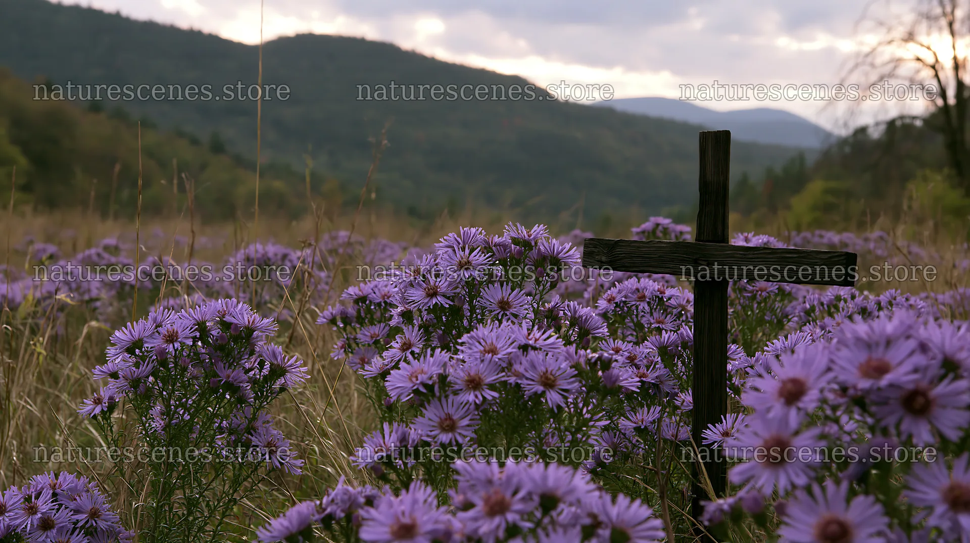 Christian cross among flowers in a meadow during sunset – nature scenes 10608x5938