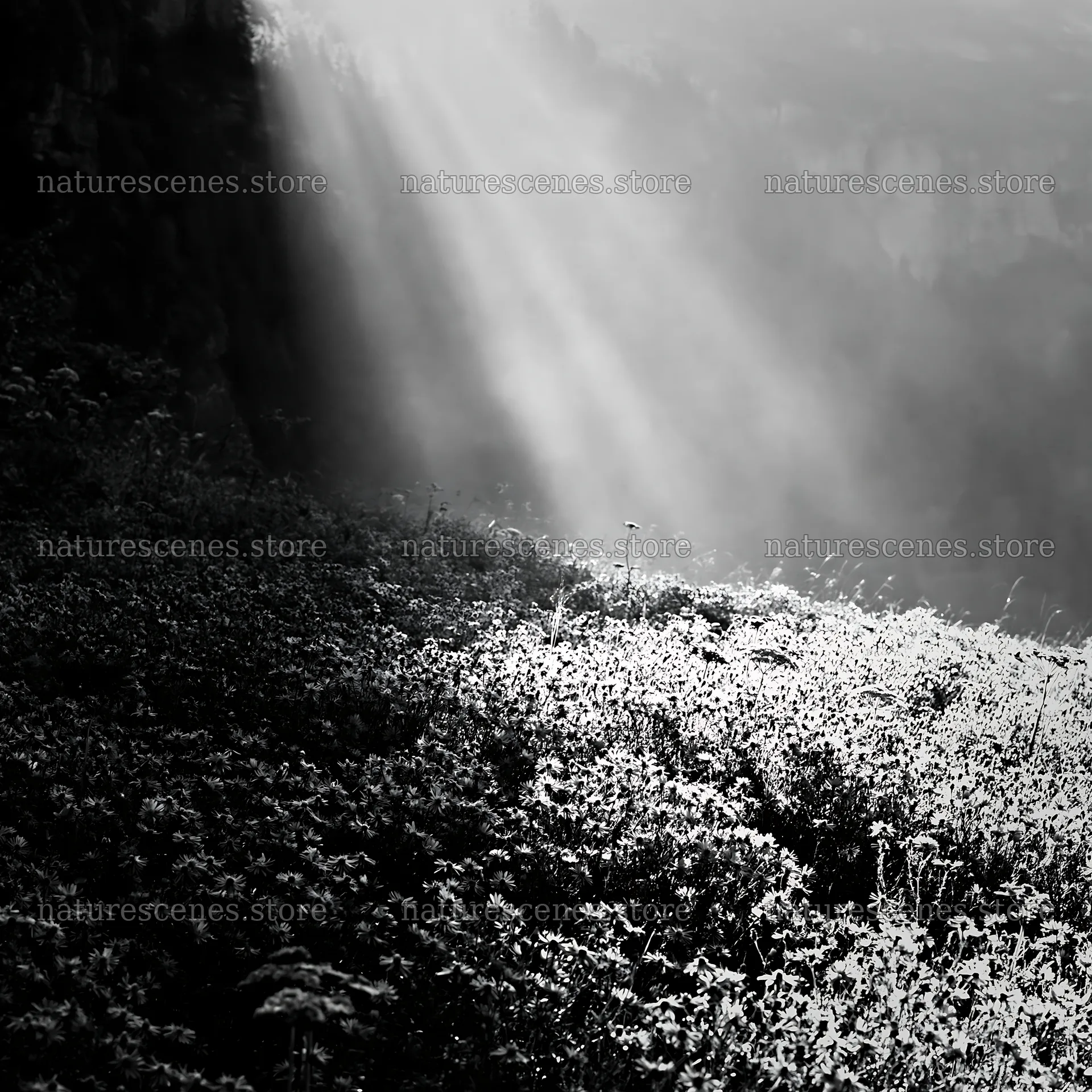 Light rays over Lauterbrunnen Valley meadow create shadows – nature scenes 7938x7938