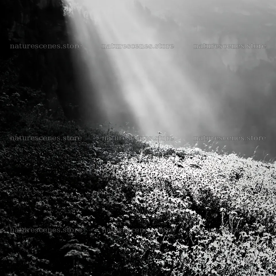 Light rays over Lauterbrunnen Valley meadow create shadows – nature scenes 7938x7938