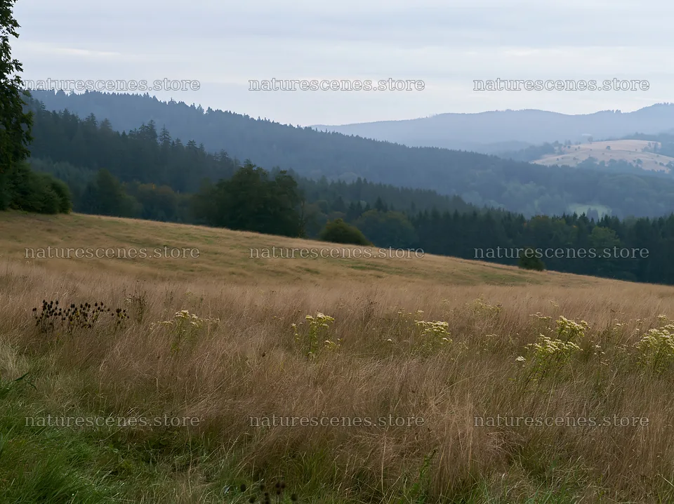 German foothill meadow with distant hills and cloudy sky – nature scenes 9174x6866
