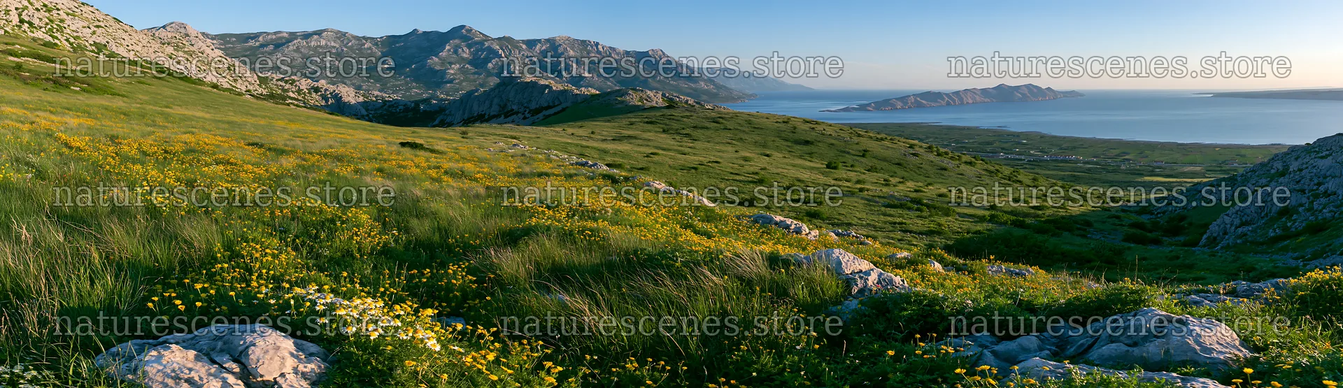 Croatian meadow above Adriatic coast on a sunny day – nature scenes 14762x4268