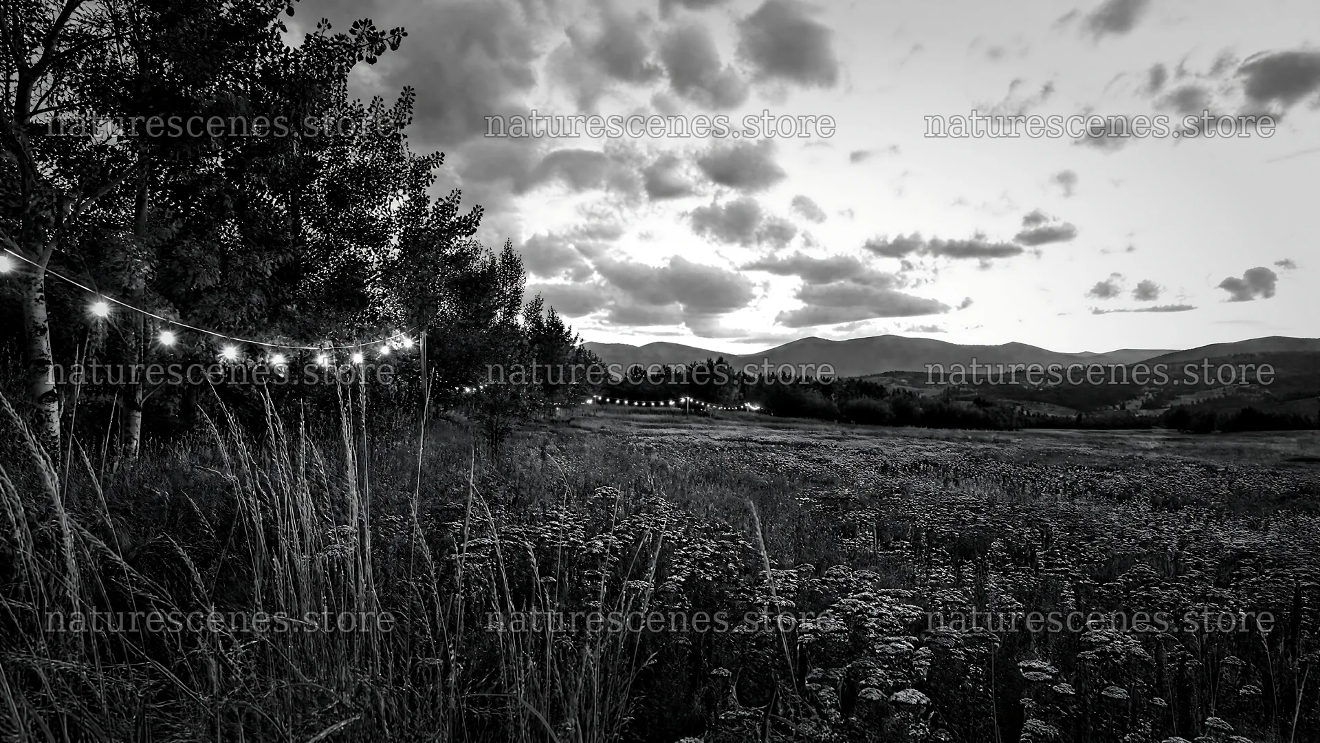 Warm Christmas lights over mountain valley meadow – nature scenes 10584x5952