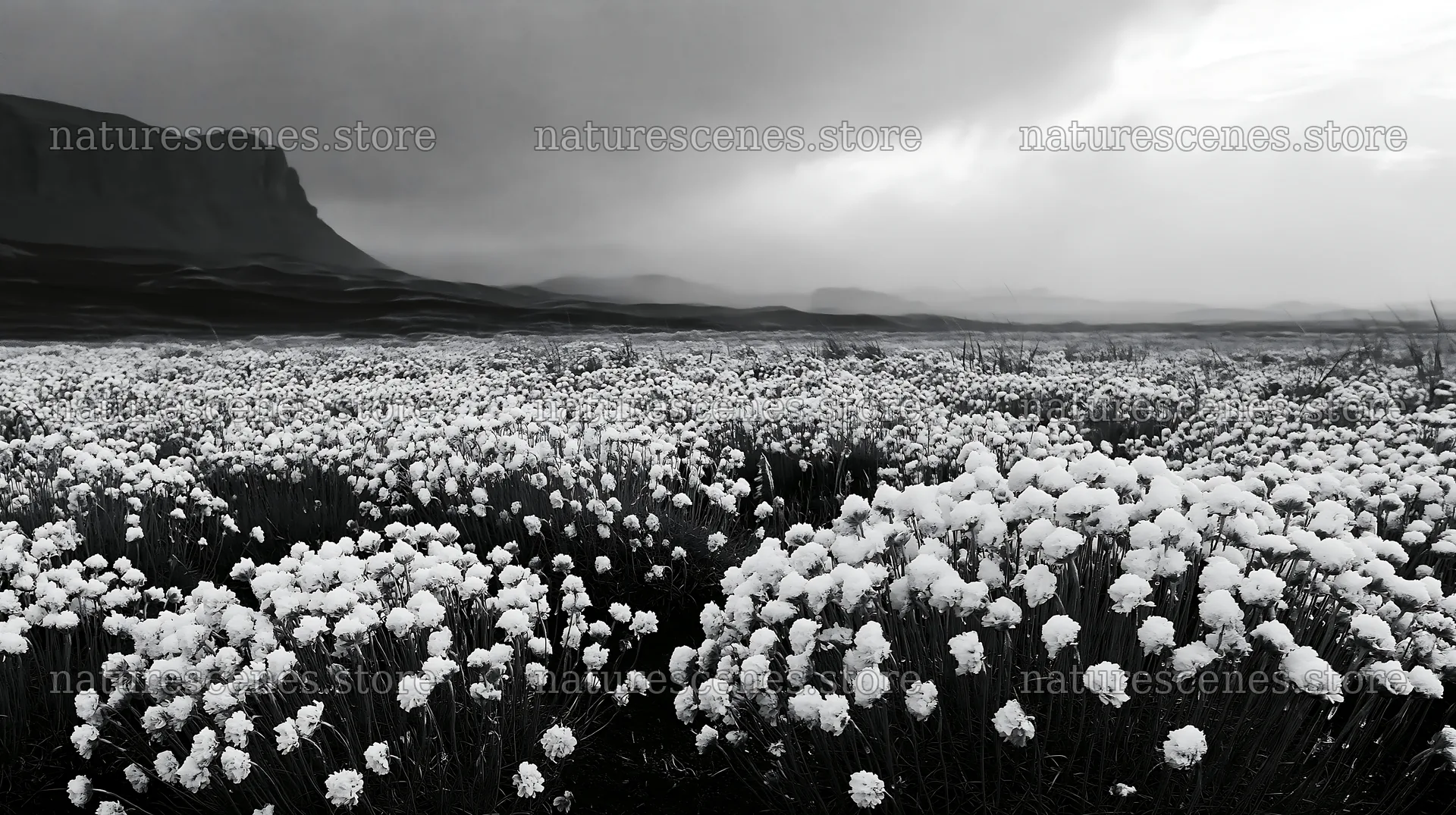 Dune meadow covered in snow with mountains in the background – nature scenes 10608x5938