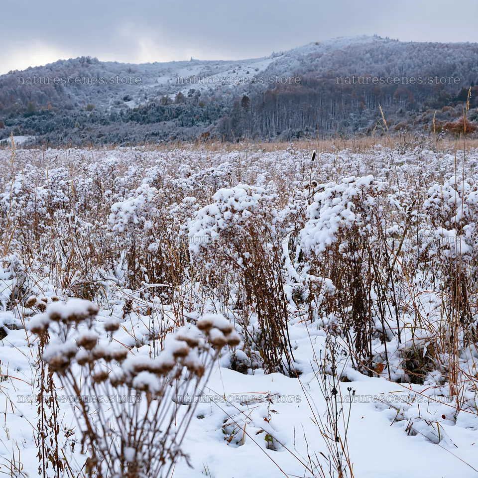 Snowy meadow with foothills during winter – nature scenes 7938x7938