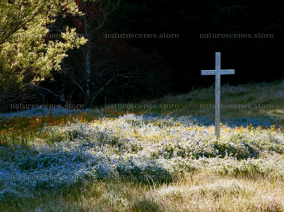Christian cross on frost covered meadow with flowers – nature scenes 9174x6866