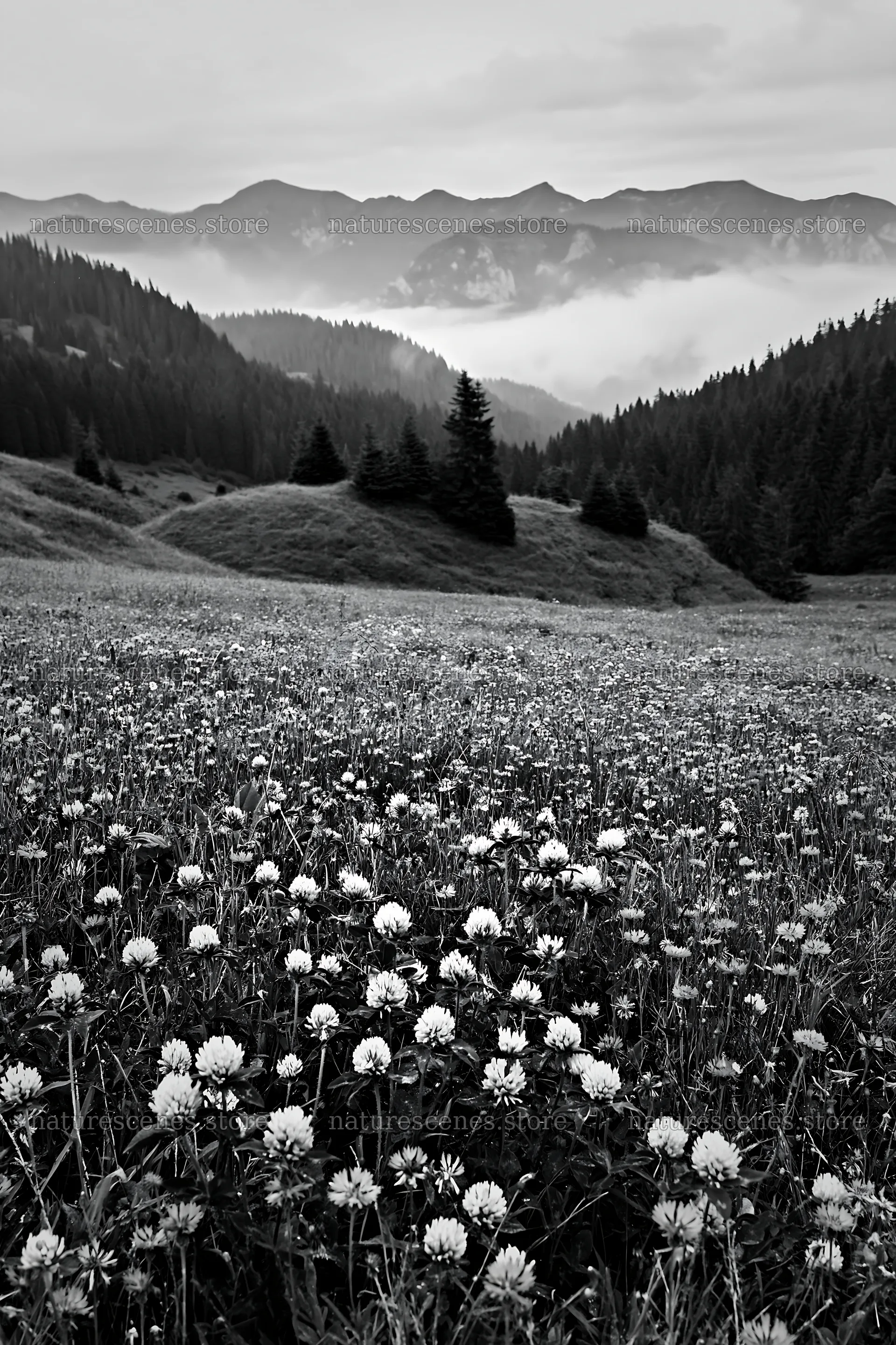 Clover cornflower meadow in mountain landscape – nature scenes 6480x9722