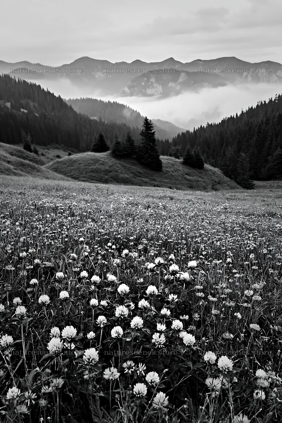 Clover cornflower meadow in mountain landscape – nature scenes 6480x9722