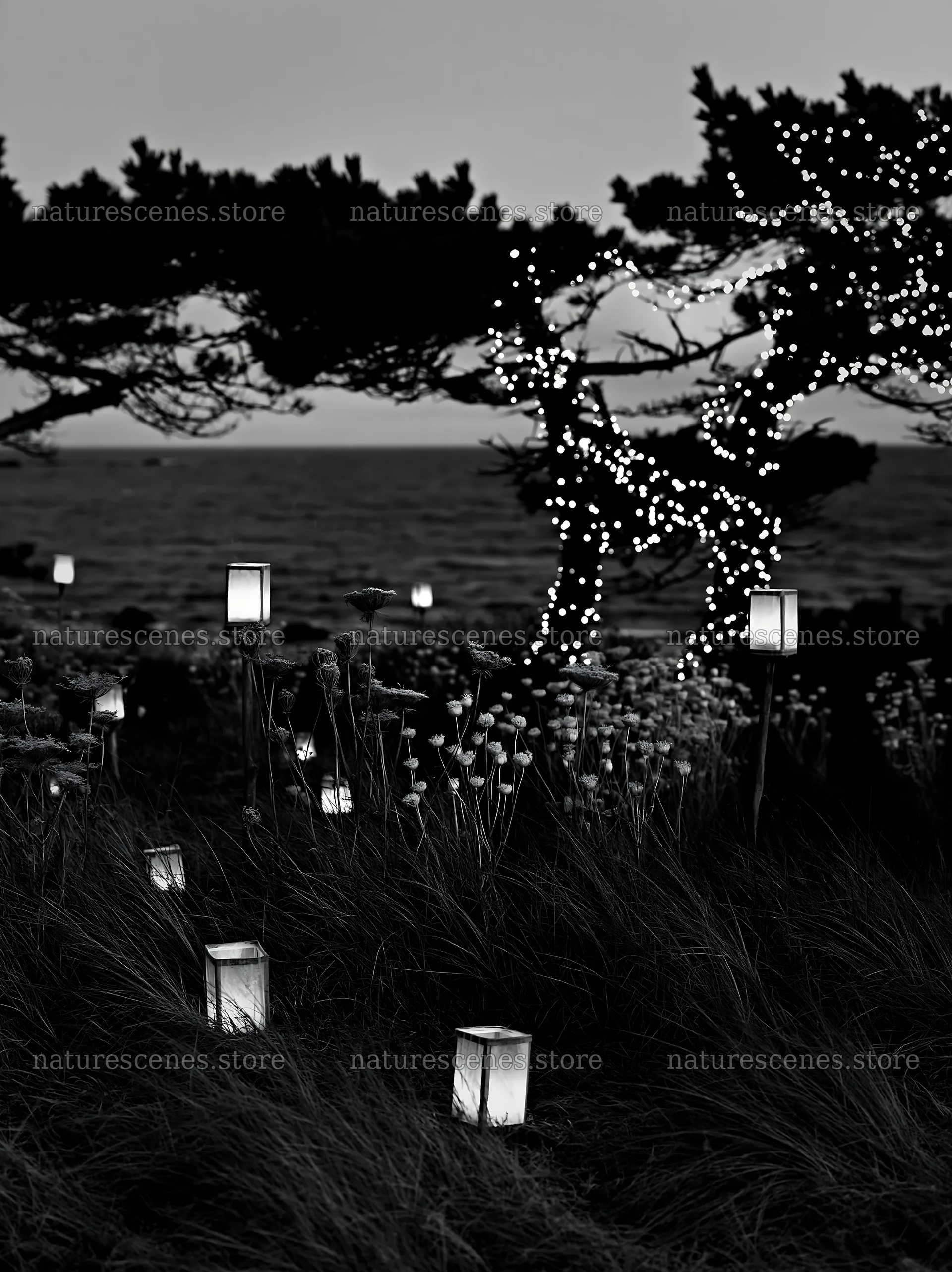 Frosty meadow with lanterns and illuminated plants at dusk – nature scenes 6866x9174