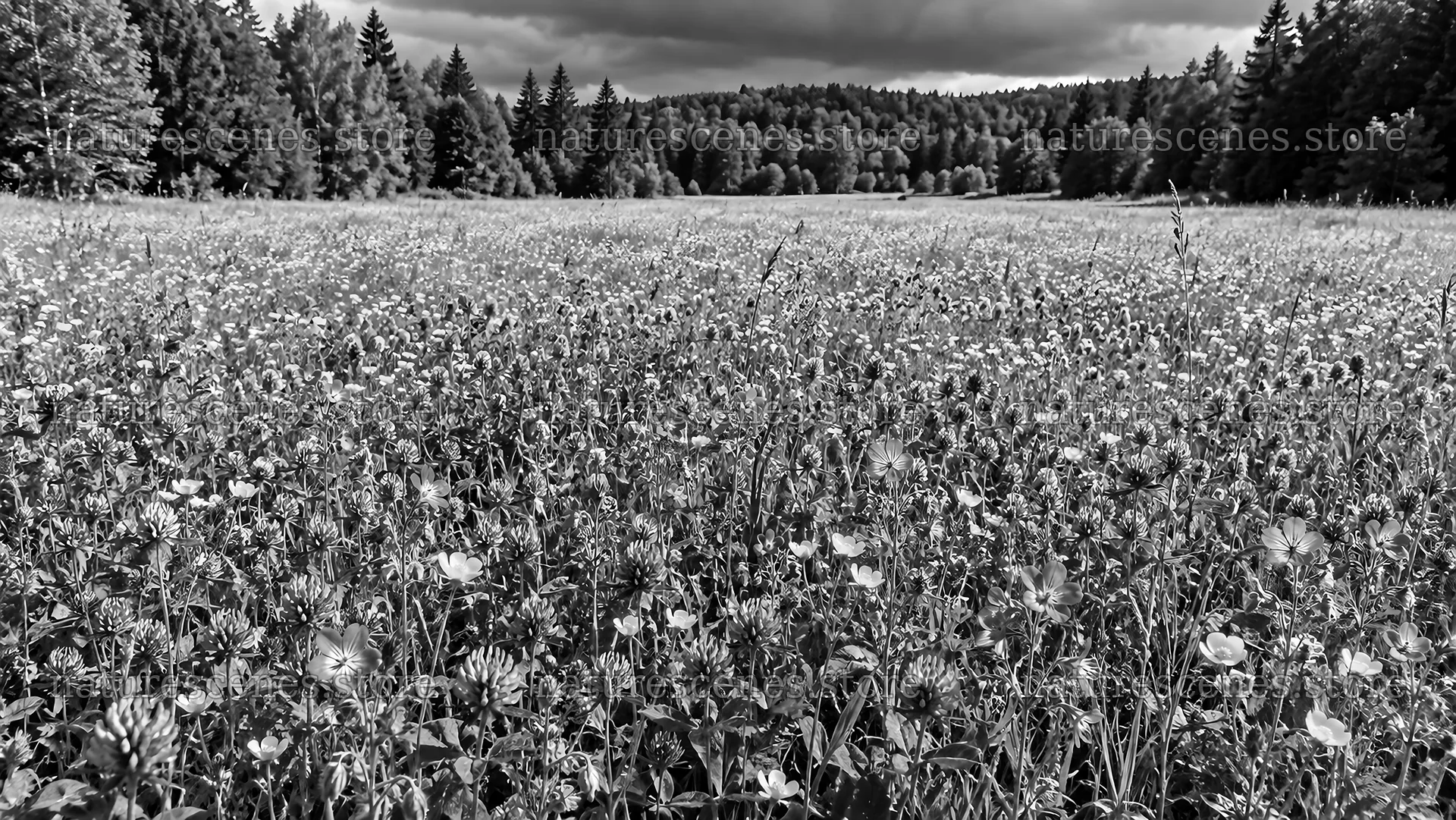 Wildflower Meadow in a Forest Clearing – nature scenes 10324x5812