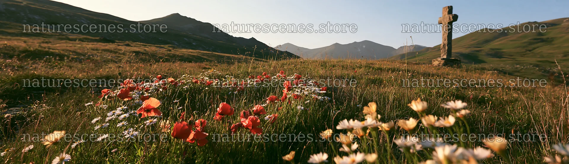 Christian cross in alpine meadow with flowers in sunlight – nature scenes 14762x4268