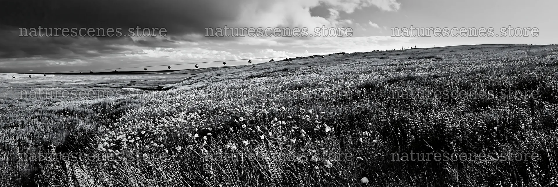 Christmas ornaments above stream in meadow – nature scenes 13690x4602