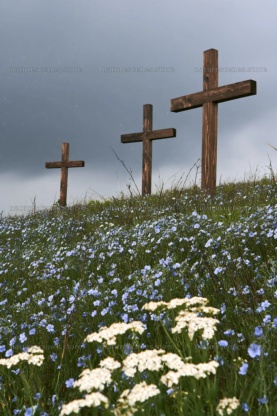 Rustic crosses in a winter meadow with wildflowers – nature scenes 6480x9722