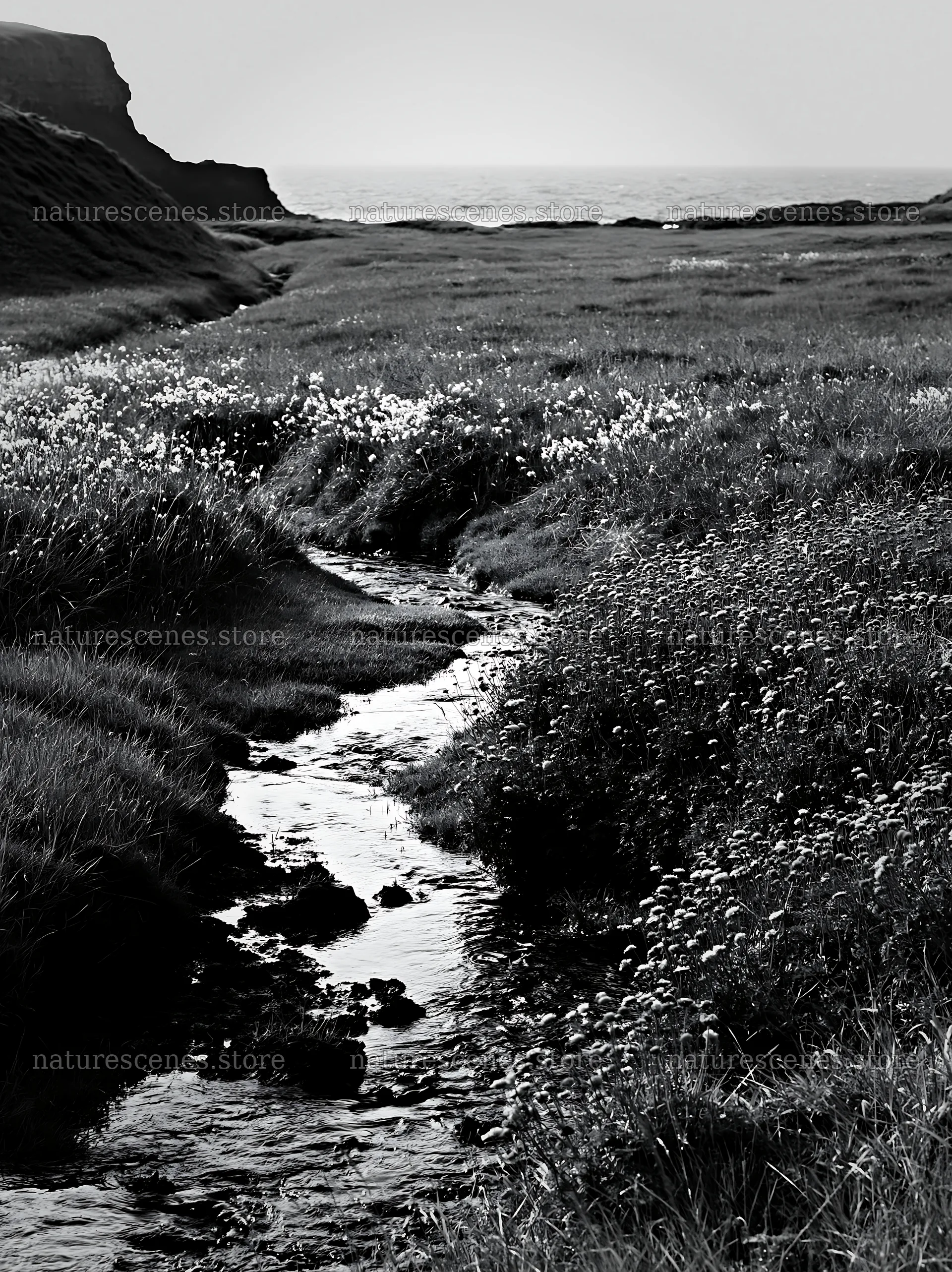 High contrast meadow with stream and ocean view – nature scenes 6866x9174