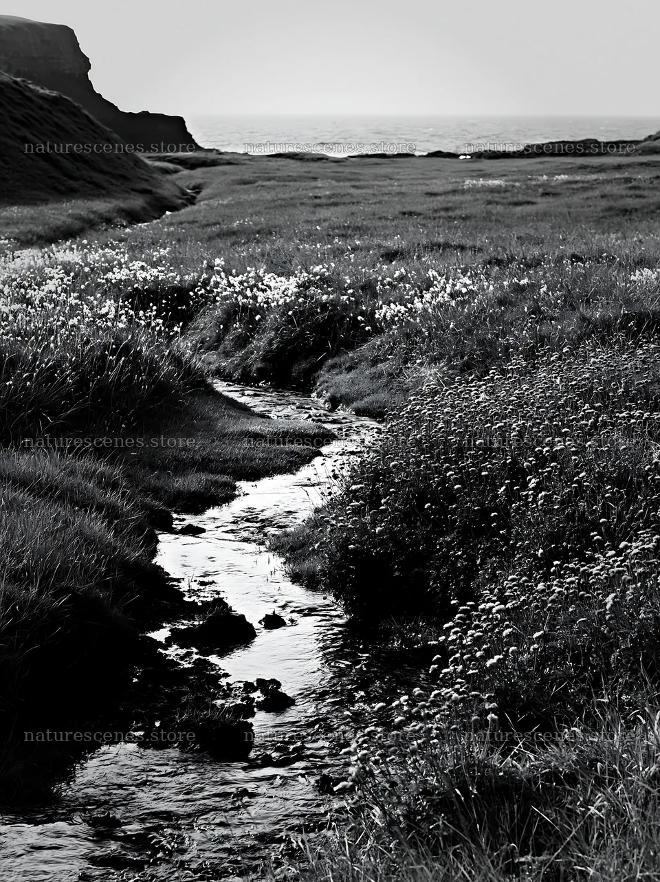High contrast meadow with stream and ocean view – nature scenes 6866x9174