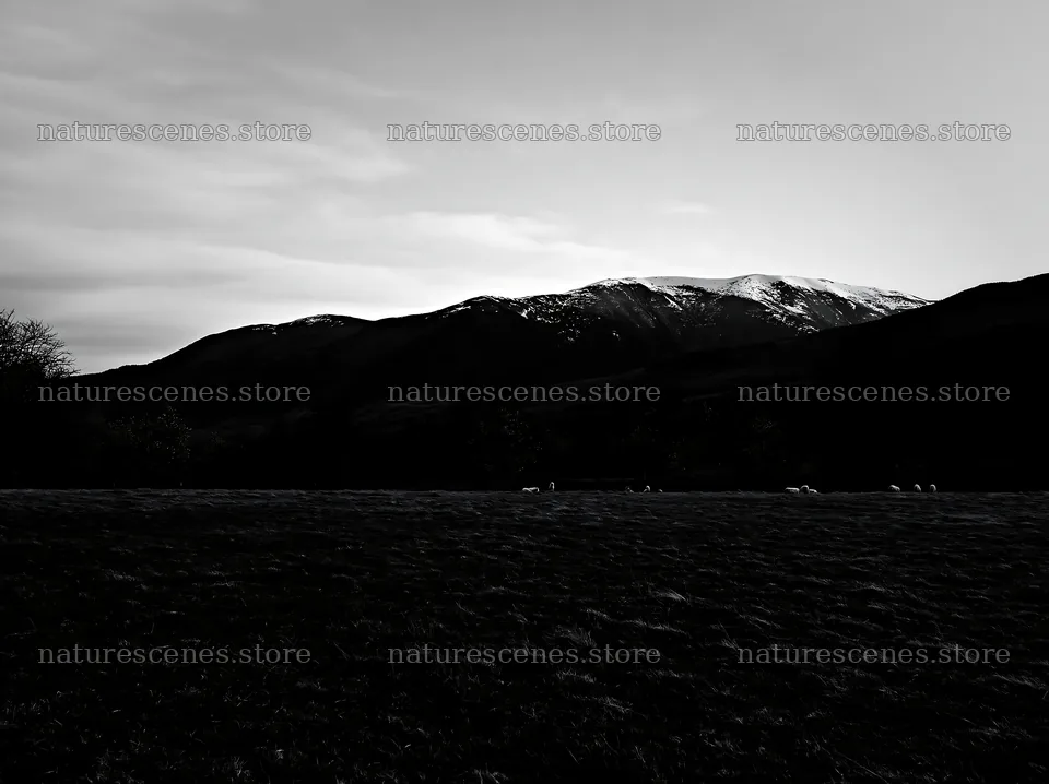 Valley apple meadow with mountains and pink sky at sunset – nature scenes 9174x6866
