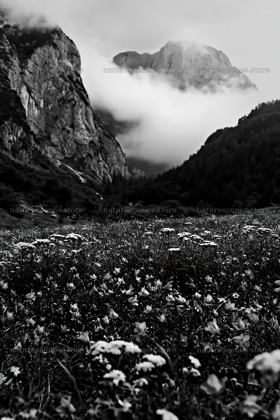 Meadow beneath crags with flowers and mountains in the background – nature scenes 6480x9722