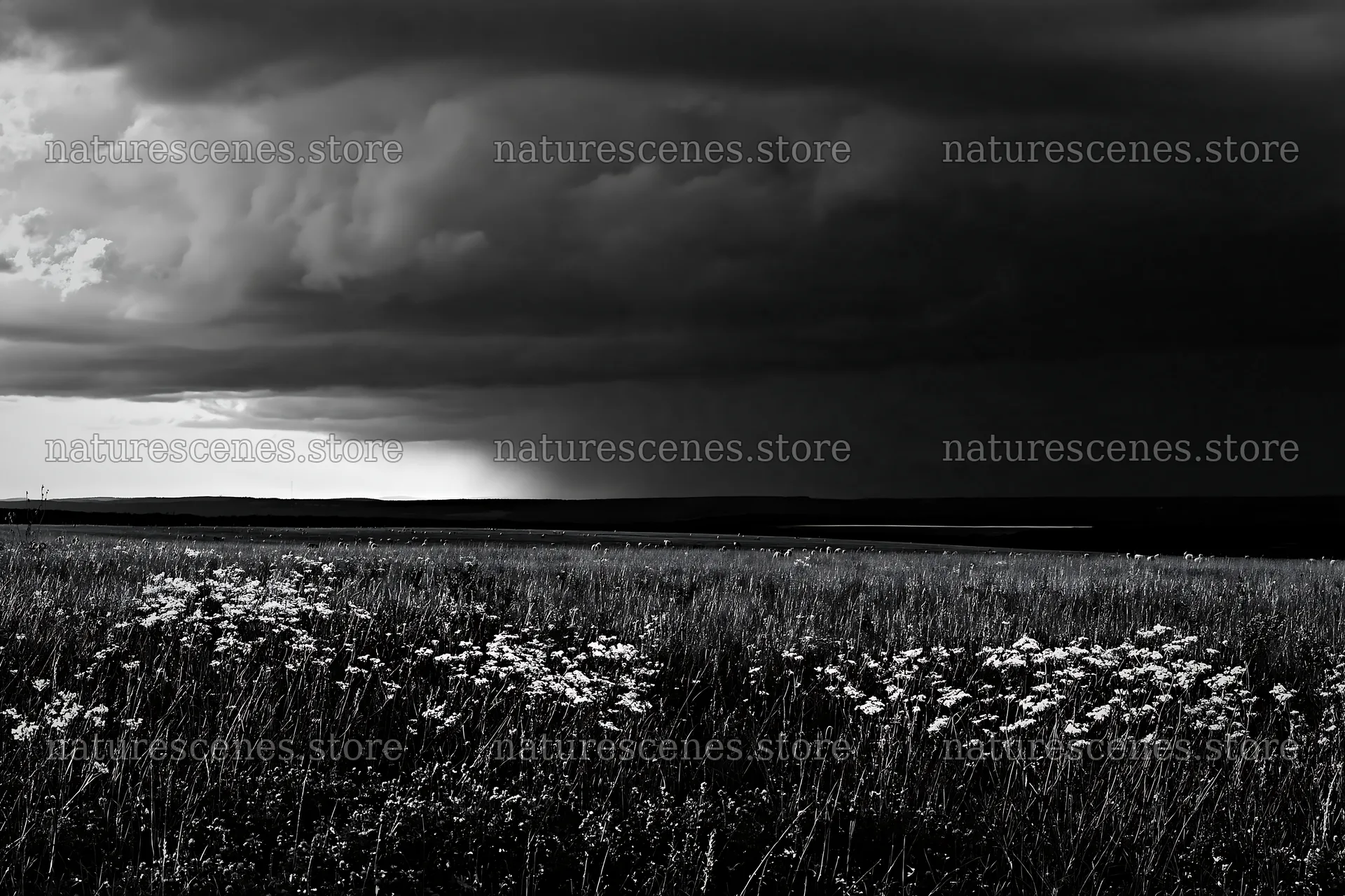 German foothill meadow with dark clouds approaching – nature scenes 9722x6480