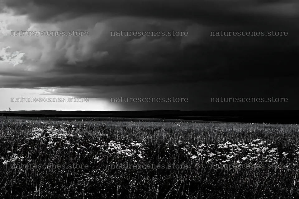 German foothill meadow with dark clouds approaching – nature scenes 9722x6480
