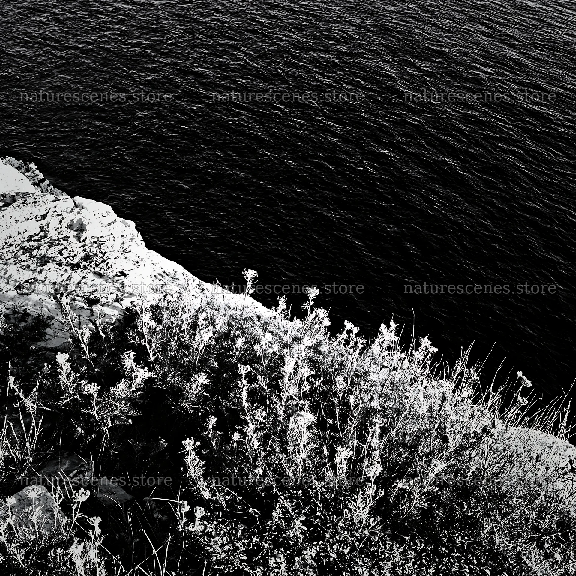 Coastal meadow cliffs overlooking dark water – nature scenes 7938x7938