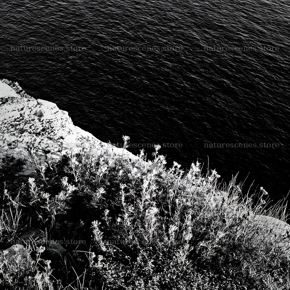 Coastal meadow cliffs overlooking dark water – nature scenes 7938x7938