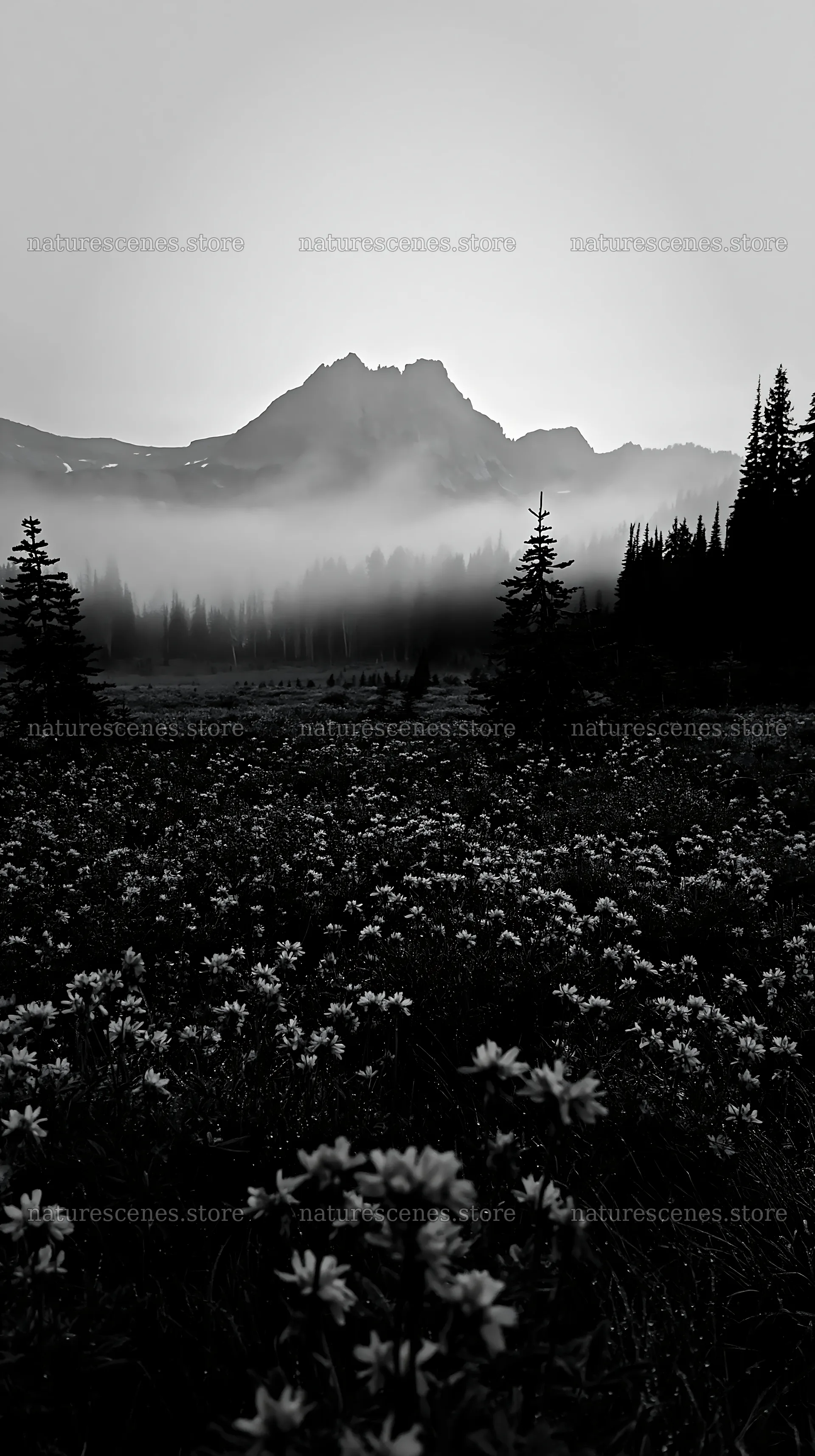 Meadow with flowers and fog in front of mountains – nature scenes 5938x10608