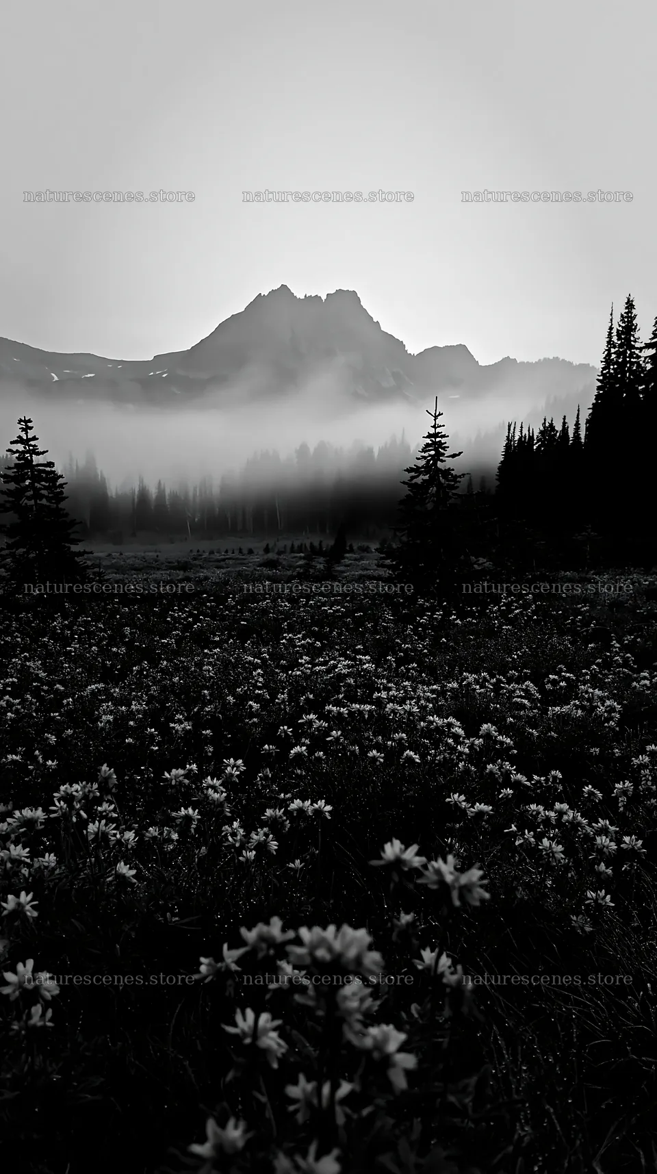 Meadow with flowers and fog in front of mountains – nature scenes 5938x10608