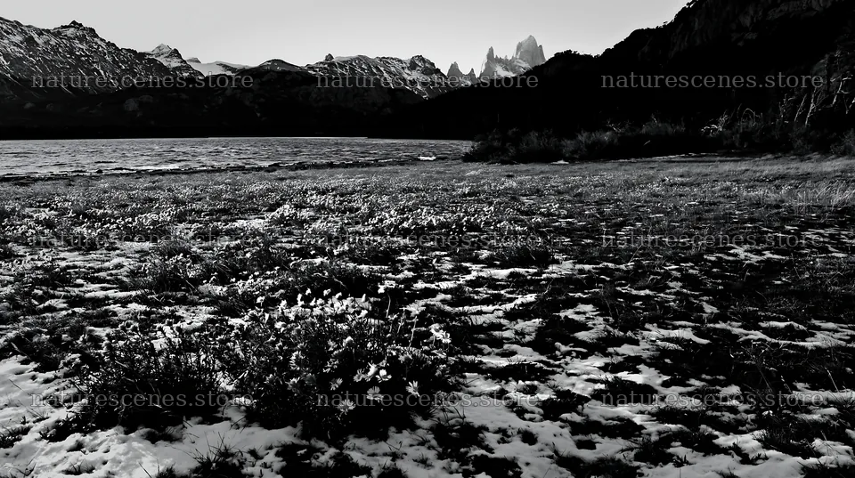 Lakeside meadow after first snowfall with flowers and mountains – nature scenes 10608x5938