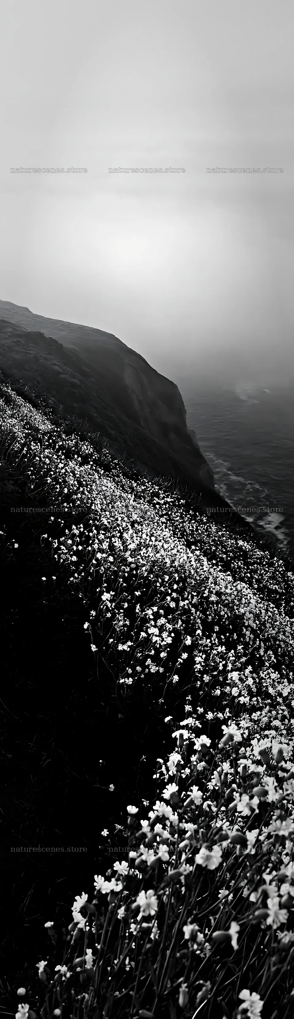 Coastal cliff meadow with wildflowers overlooking the sea – nature scenes 4268x14762