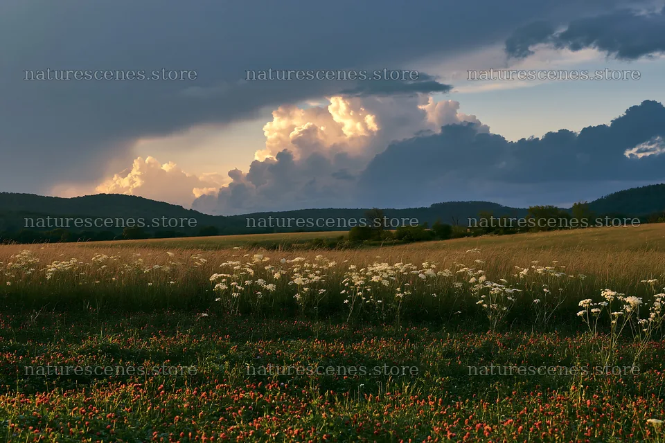 Sunset over meadow in German foothills with clouds – nature scenes 9722x6480