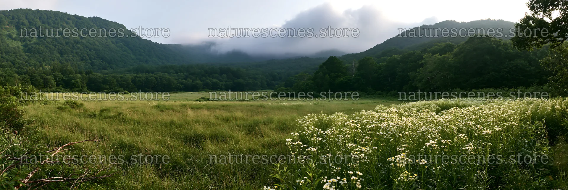 Yamagata rewilded meadow fallen branch foreground – nature scenes 13690x4602