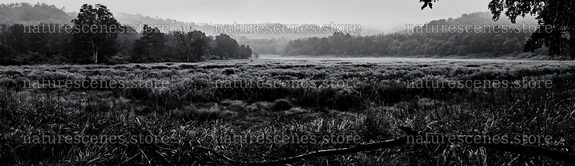 Yamagata rewilded meadow fallen branch foreground – nature scenes 14762x4268