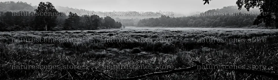 Yamagata rewilded meadow fallen branch foreground – nature scenes 14762x4268