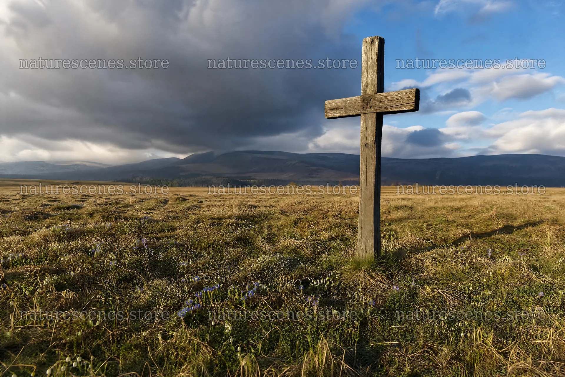 Christian cross in winter meadow during low sunlight – nature scenes 9722x6480