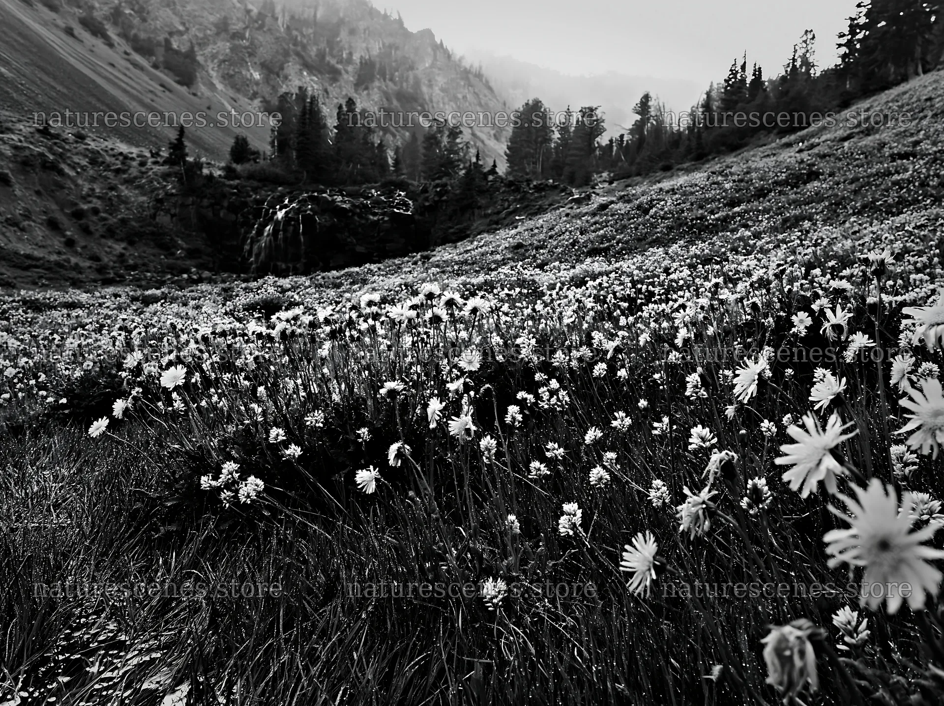 Misty mountain waterfall in a meadow with wildflowers – nature scenes 9174x6866