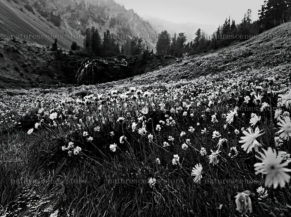 Misty mountain waterfall in a meadow with wildflowers – nature scenes 9174x6866