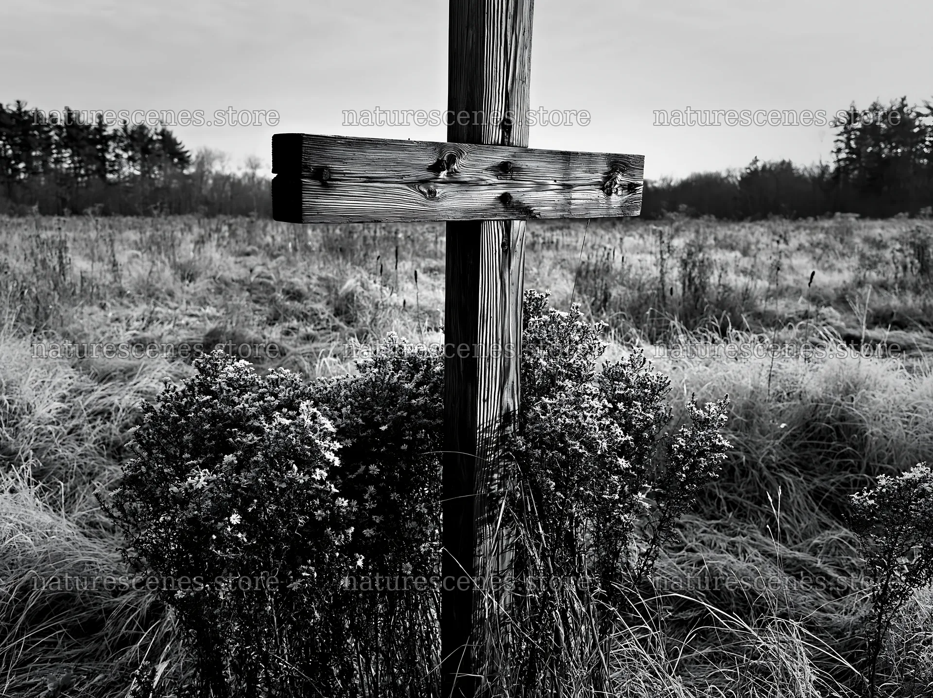 Wooden Christian cross in meadow during winter season – nature scenes 9174x6866