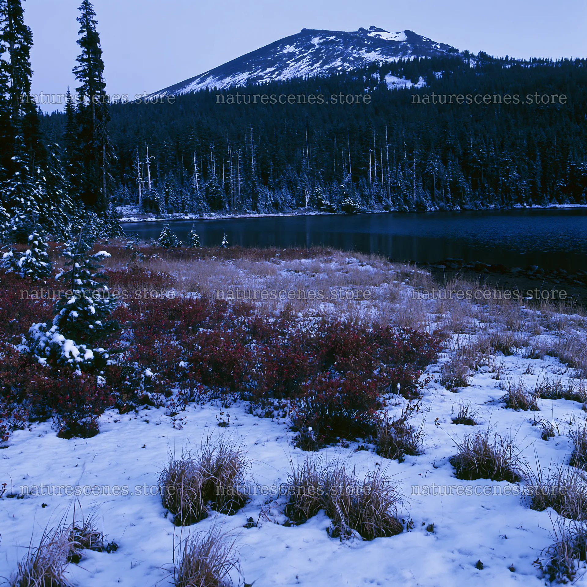 Lakeside meadow after snowfall with mountain view – nature scenes 7938x7938