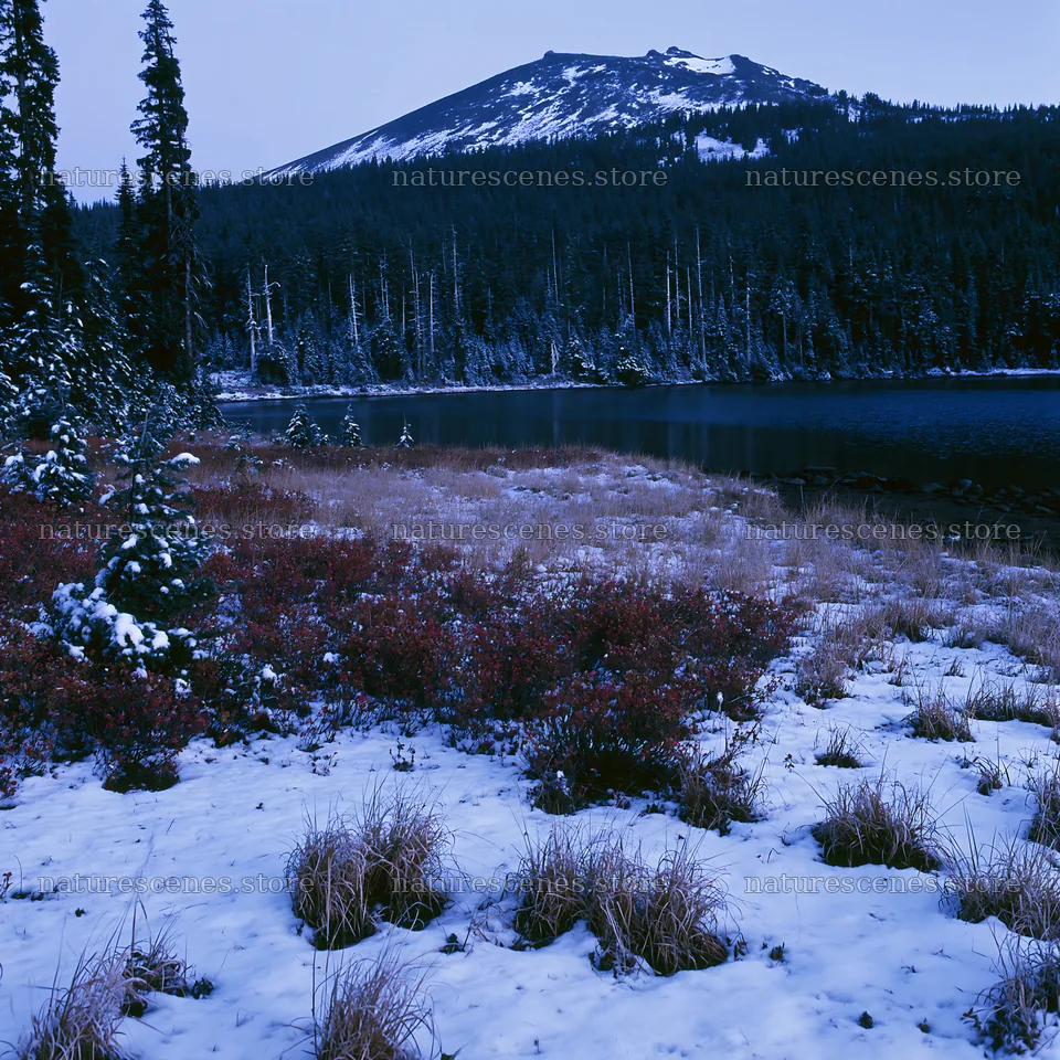 Lakeside meadow after snowfall with mountain view – nature scenes 7938x7938