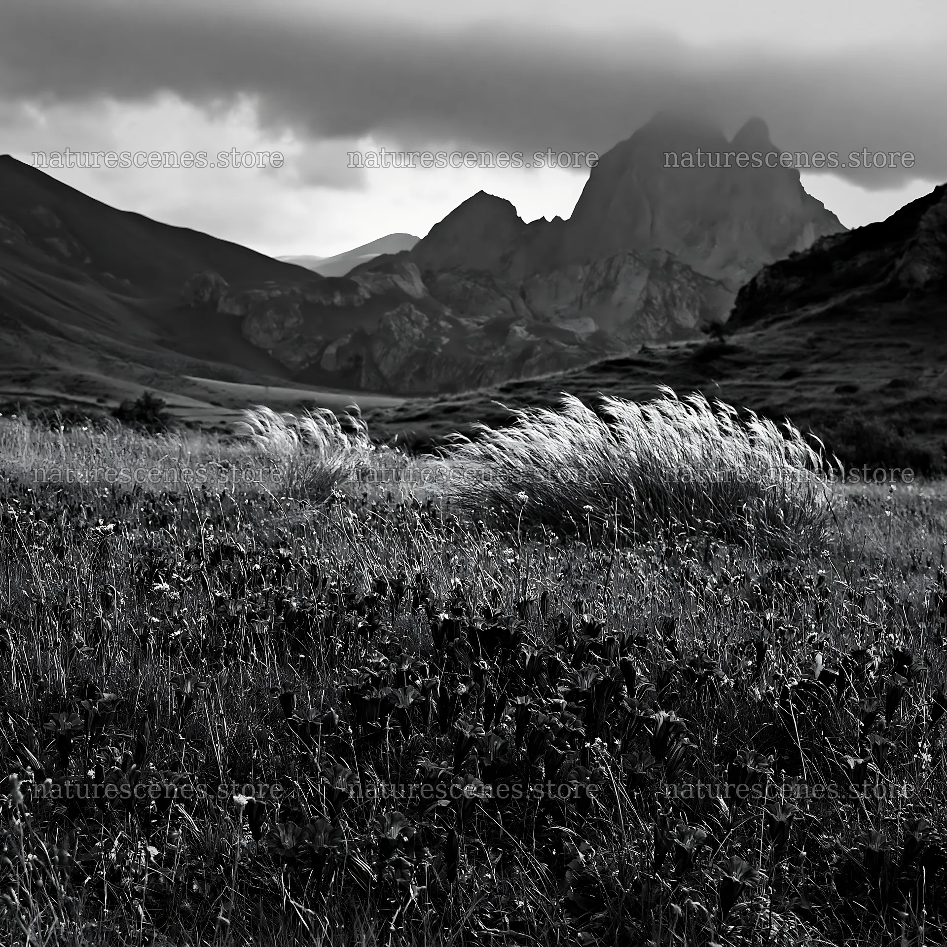 Meadow beneath crags with grass swaying in the breeze – nature scenes 7938x7938