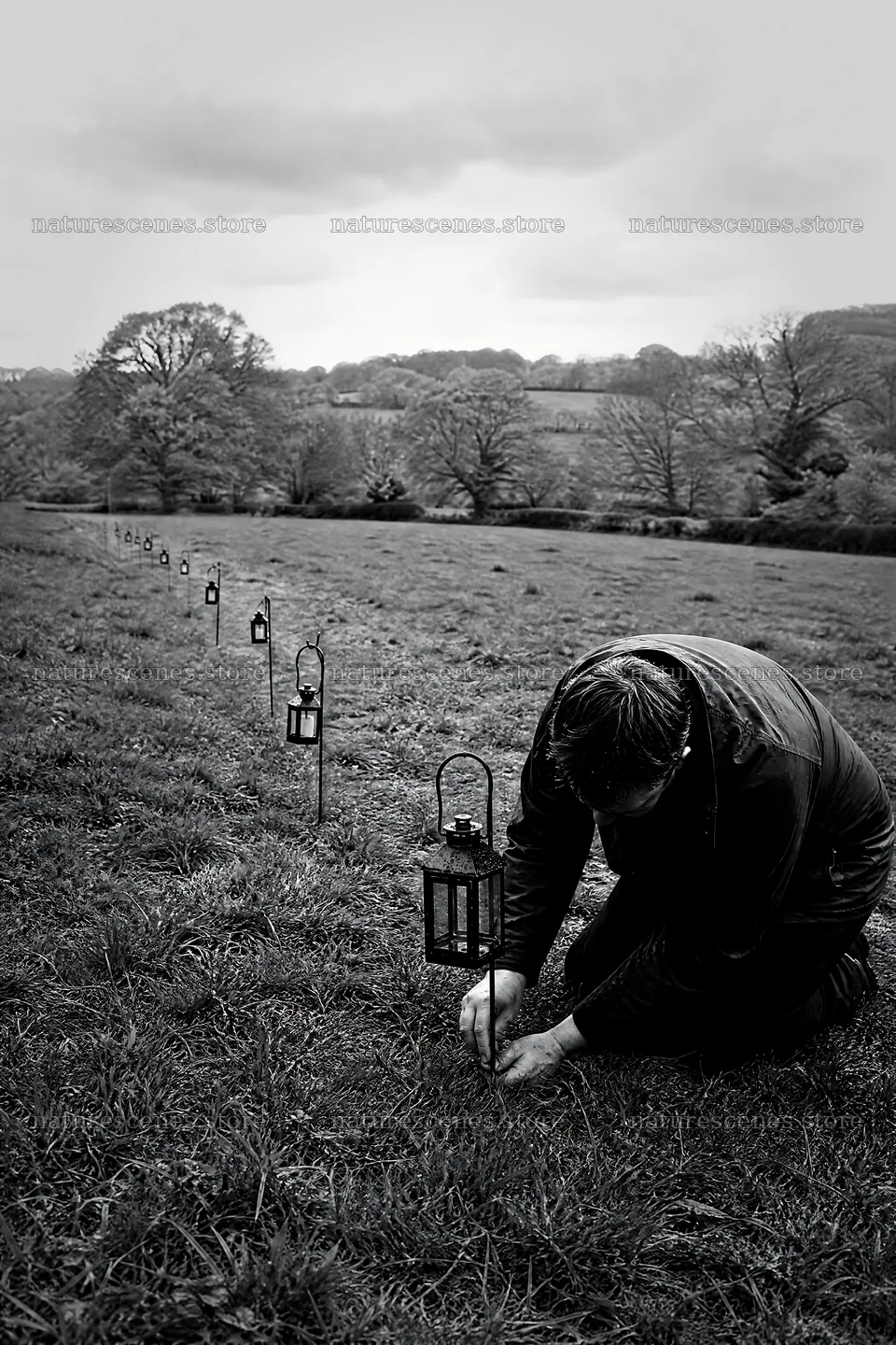 Lanterns placed in a meadow for an event – nature scenes 6480x9722
