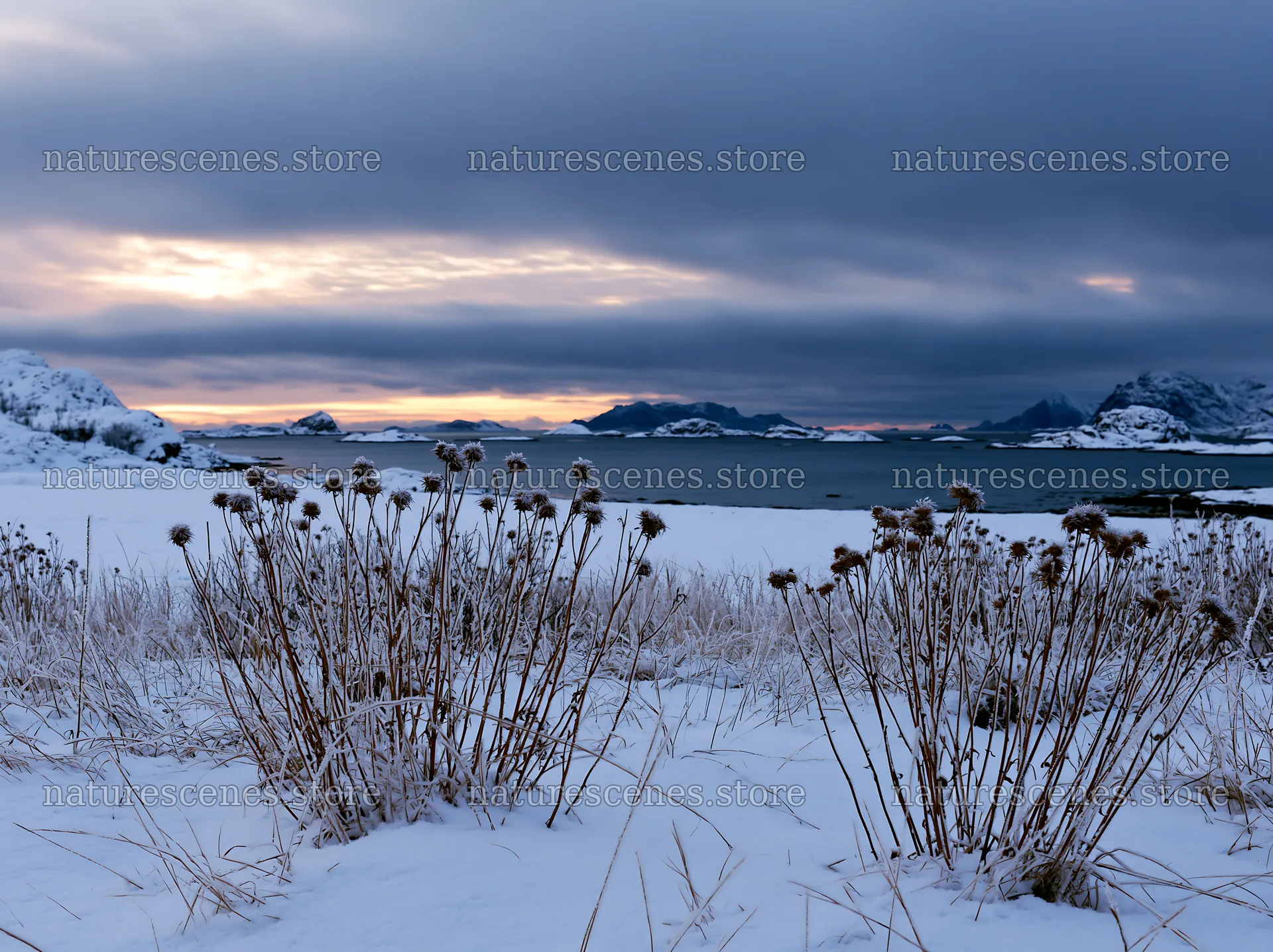 Lofoten coastal meadow winter snow in evening light – nature scenes 9174x6866