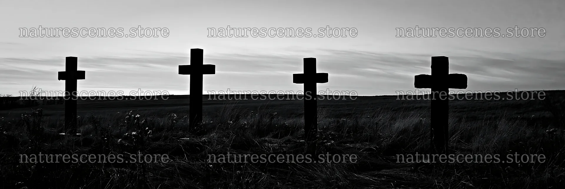 Four Christian crosses in winter meadow landscape – nature scenes 13690x4602